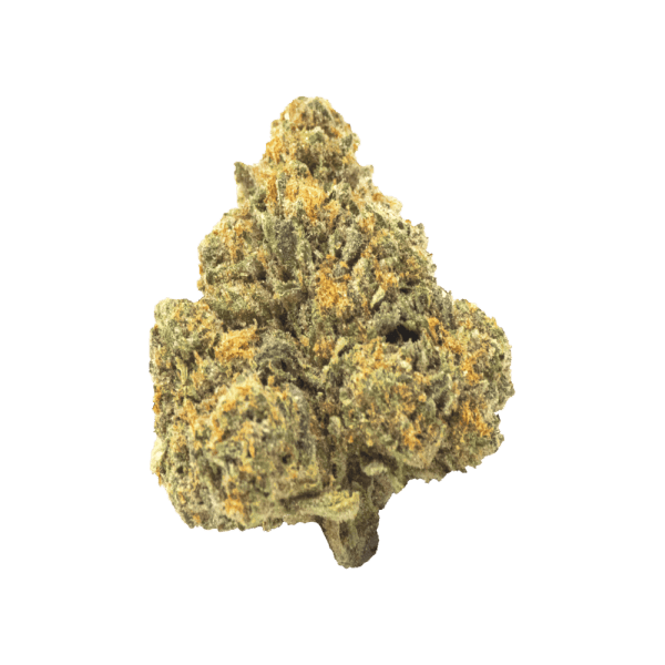 44e8e424-b833-436c-b5c3-65756af2feb7-600x600